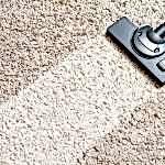 How to Choose the Right Carpet Cleaning Company