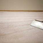 DIY Carpet Cleaning: A Comprehensive Guide